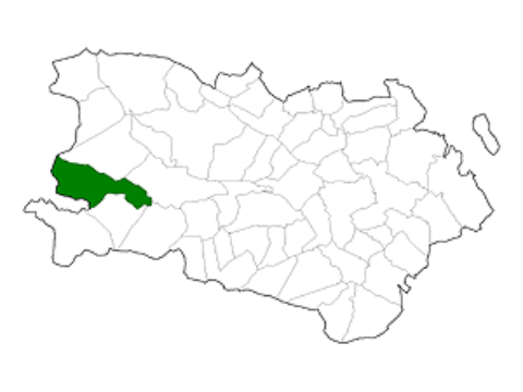 vega-tera